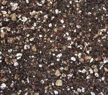 gritty succulent soil mix